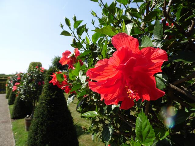 Man mag sich kaum vorstellen, wieviel Arbeit in solch eine riesige Gartenanlage investiert werden muss, wenn man an seinen kleinen Garten zu Hause denkt.