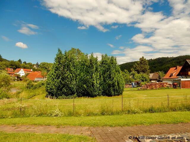 Blick vom Wassertretbecken.