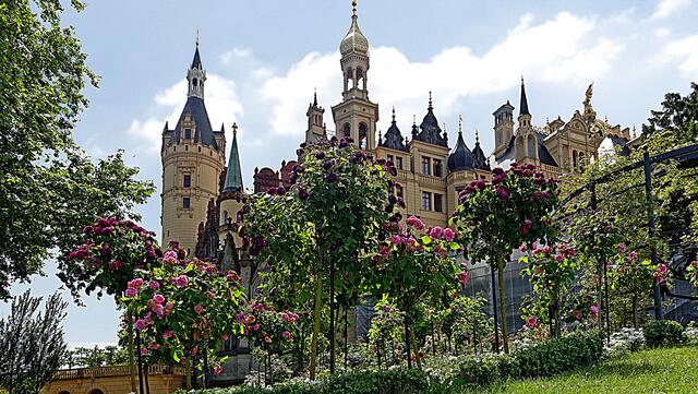 Auf dem Rosenhügel. Foto: Helmut Kuzina