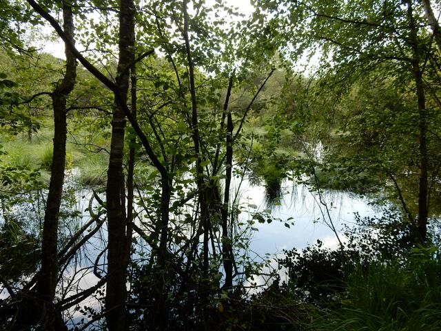 Das Wasser steht bis zum Wegesrand