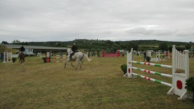 Reitturnier in Laucha am 2.7.2016 !