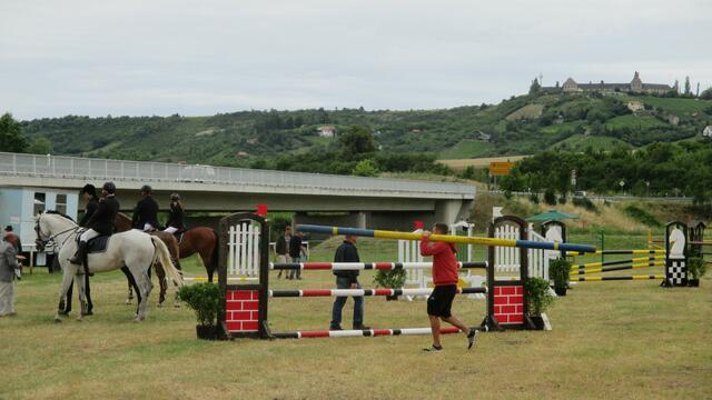 Reitturnier in Laucha am 2.7.2016 !