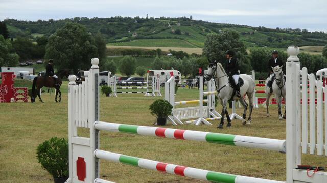 Reitturnier in Laucha am 2.7.2016 !