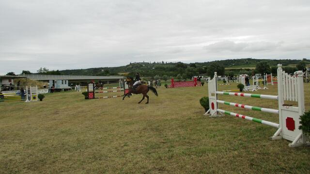 Reitturnier in Laucha am 2.7.2016 !