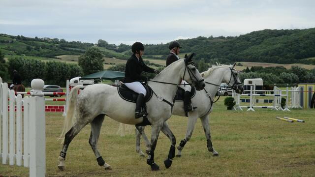 Reitturnier in Laucha am 2.7.2016 !