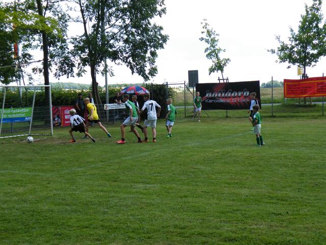 12. dto.