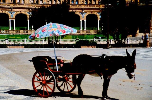 Pferdekutschen, Eselskarren, Motorräder und Autos sind in Sevilla gleichberechtigt.
