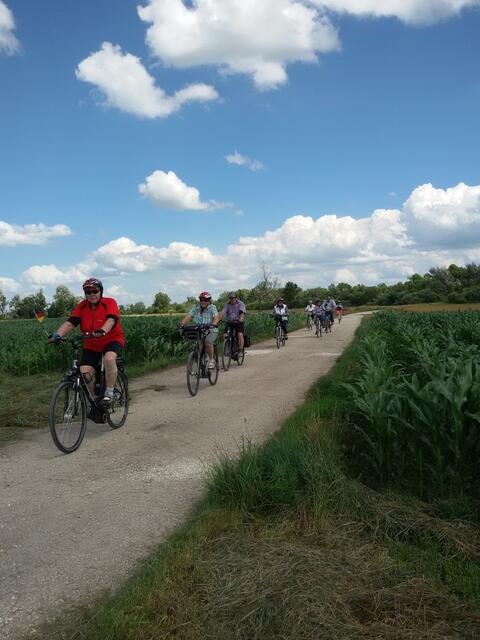 auf dem Weg in Richtung Langenau