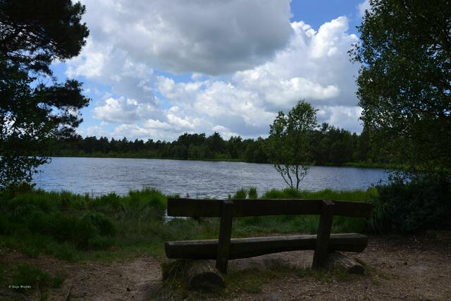 Bänke am Seeufer laden zu einer Pause ein - Grundloser See bei Walsrode (Foto: Katja Woidtke)