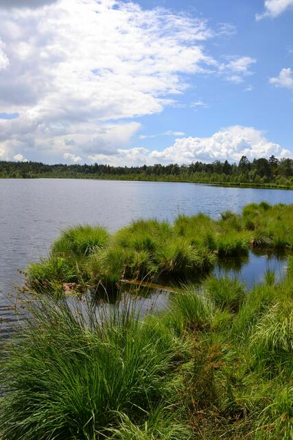 Ein Hauch von Skandinavien am Grundlosen See bei Walsrode (Foto: Katja Woidtke)