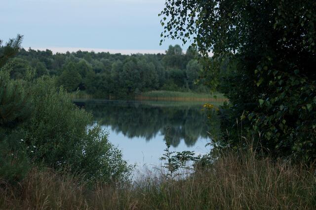 Abendstimmung an einem Wedemärker Fischteich.