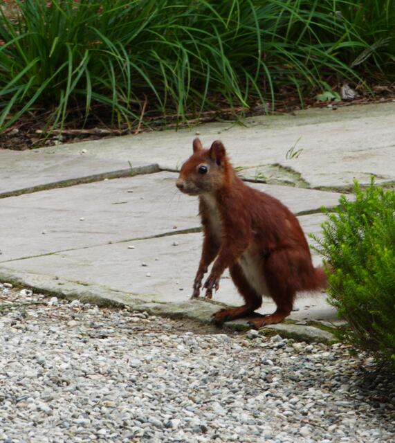Mist hier ist der Weg zu Ende