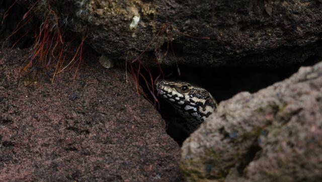 Das ist mein Zuhause