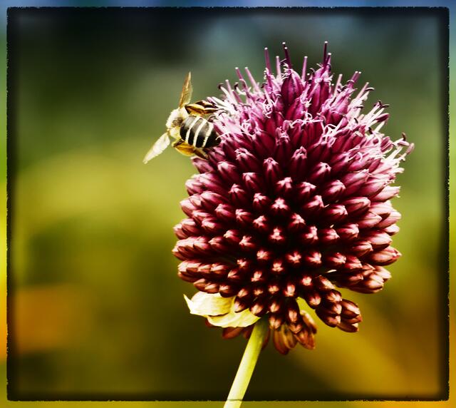 Auch ein schöner Rücken