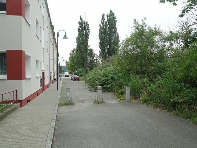 Die Poller Seite der Talstraße, wo keine Autos stehen holt sich die Natur ihr Terrain zurück.