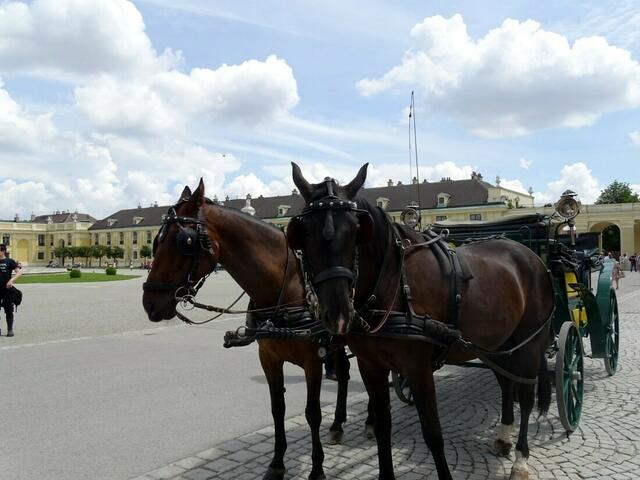 Schloss Schönbrunn