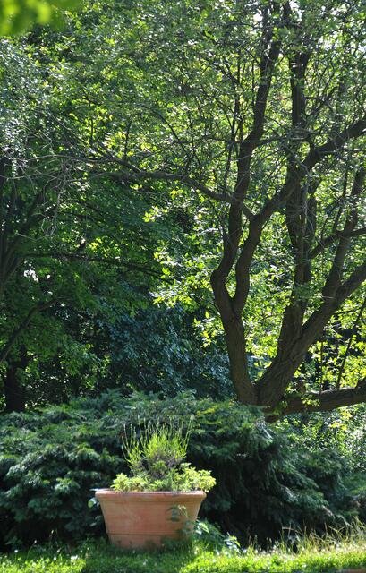 Gartenanlage der Bergterassen auf dem Gehrdener Berg.