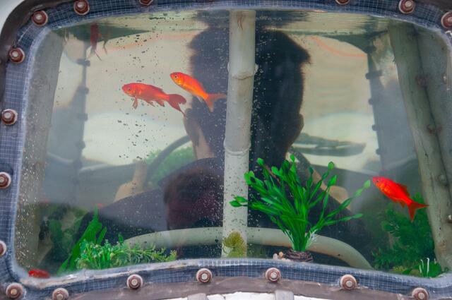 Goldfische im Auto: Ein Aquarium auf vier Rädern  - Scuba Bianchi.