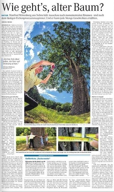 MZ Artikel vom 15.7.2016 !