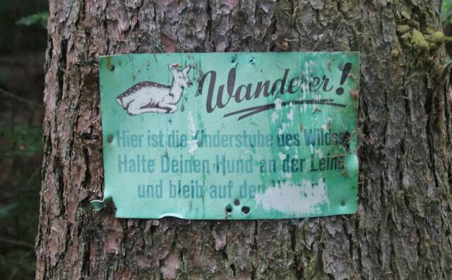 "Schutzmaßnahmen"
