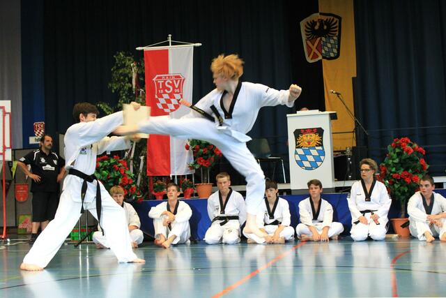 Abteilung Taekwon-Do