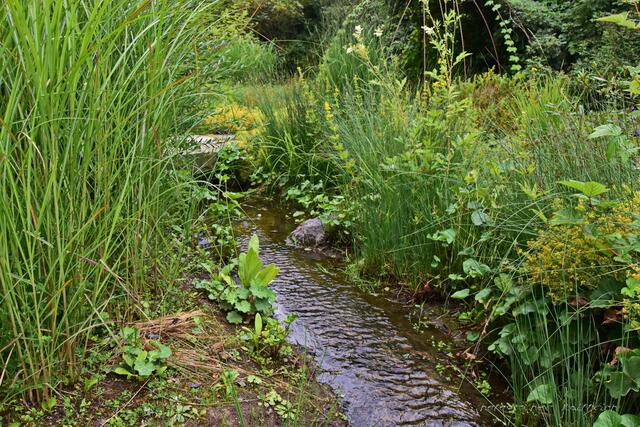 ..wo der "Wildbach" rauscht....gg*!