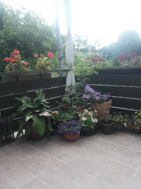 Ein kurzer Abstecher auf den Balkon und am vorbei an einem der ....
