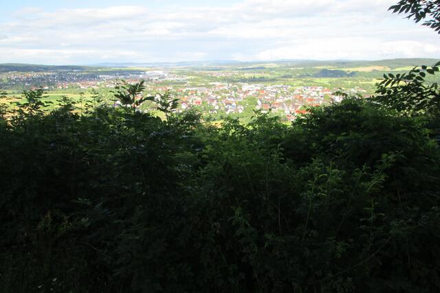 Blick über die wilden Wucherungen nach dem Besteigen der östlich Sitzbank.