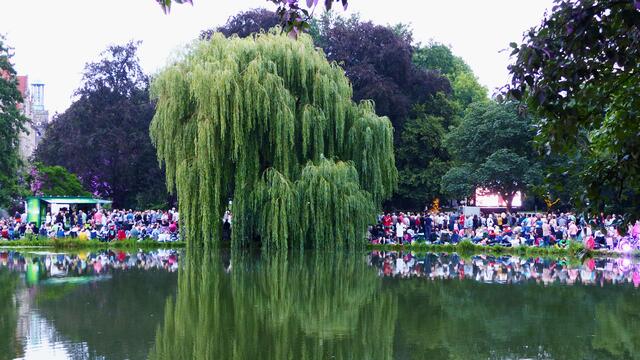 Im romantisch idyllischem Maschpark bleibt kein Platz frei.