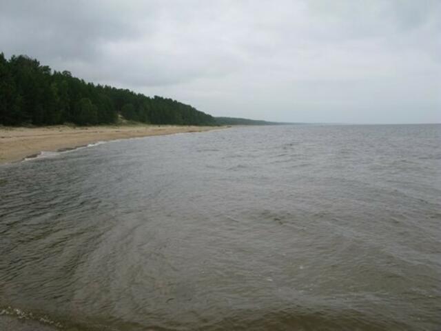 Saulkrasti