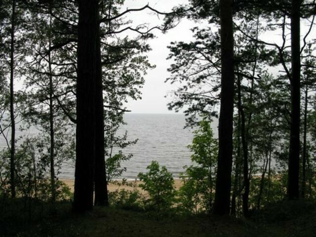 Saulkrasti