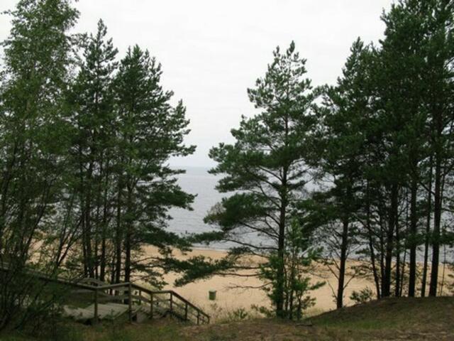 Saulkrasti