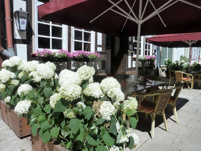 Blumen zur Verschönerung der Altstadt.