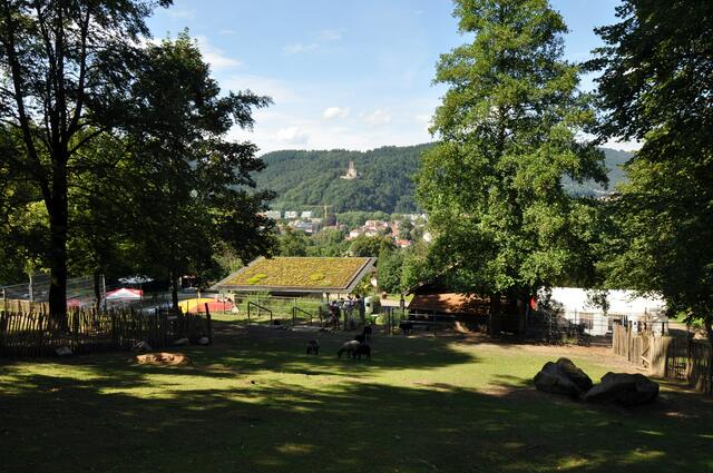 Blick auf die Kastelburg, Link: https://de.wikipedia.org/wiki/Kastelburg