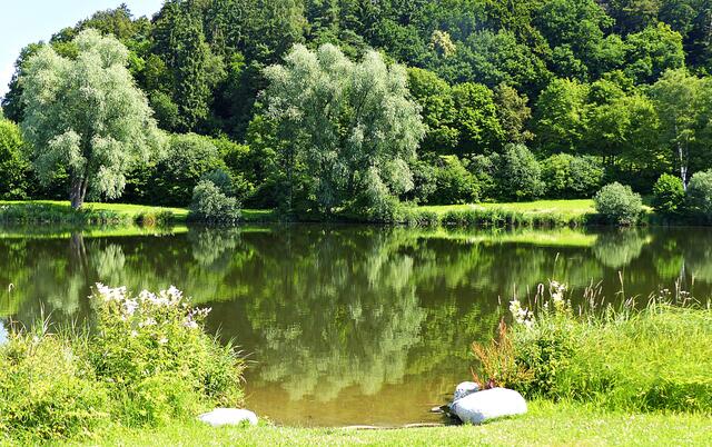 Der Rothsee