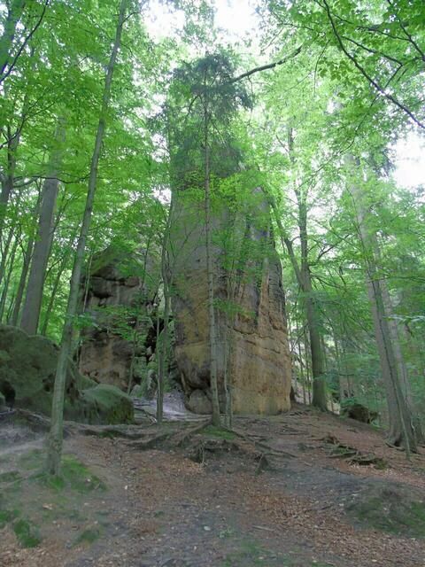 Der stand da - einfach so - mitten im Wald... ;-)