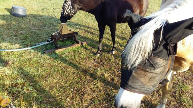 Der Durst bei der Hitze ist sehr groß.