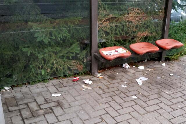 Seit schon längerer Zeit wurde offensichtlich der Unterstand der Bushaltestelle Wissmannstraße/Ecke Schanzenkreuzung keiner Reinigung mehr unterzogen. Darauf wies jetzt Rainer Beinke hin, der dies in der Innenstadt einer Kur-und Einkaufsstadt für unmöglich hält. | Foto: Rainer Beinke