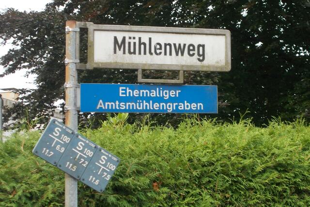 Die Gäste vom Fünf-Sterne-Hotel  werden in Sichtweite des „revita“ vom meterhohen Unkraut des Mühlenweg begrüßt.