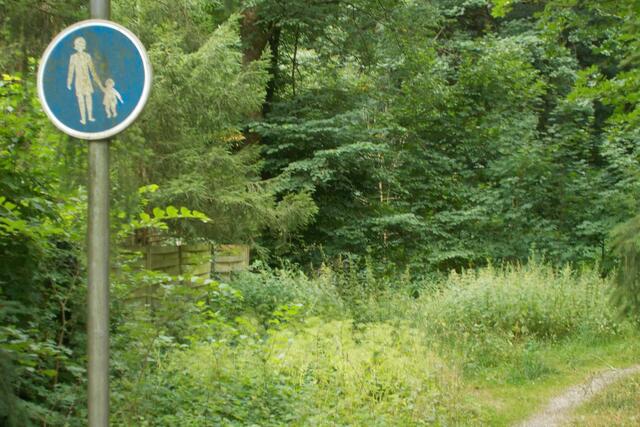 Ungepflegte Grünfläche zwischen Uferstraße und dem Wanderweg an der Oder. Hinter diesem Grünflächenchaos verbergen sich Reste einer vor Jahren im Wahlkampf gesponserten Sitzbank. Der Weg an der Oder ist inzwischen dermaßen verkommen, dass dort nicht einmal die Bewohner nahen Altenheimes mehr spazieren gehen können.
