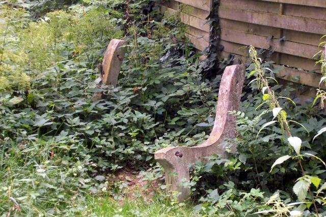 Ungepflegte Grünfläche zwischen Uferstraße und dem Wanderweg an der Oder. Hinter diesem Grünflächenchaos verbergen sich Reste einer vor Jahren im Wahlkampf gesponserten Sitzbank. Diese stellt bei Dunkelheit für Passanten oder auch für spielende Kinder eine Unfallgefahr dar. Der Weg an der Oder ist inzwischen dermaßen verkommen, dass dort nicht einmal die Bewohner nahen Altenheimes mehr spazieren gehen können.