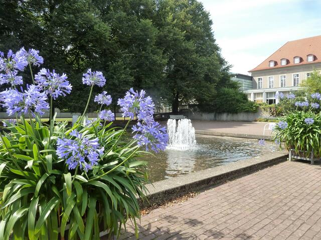 Am Rand des See´s standen diese Blumenkübel.