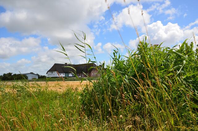 Nordstrand