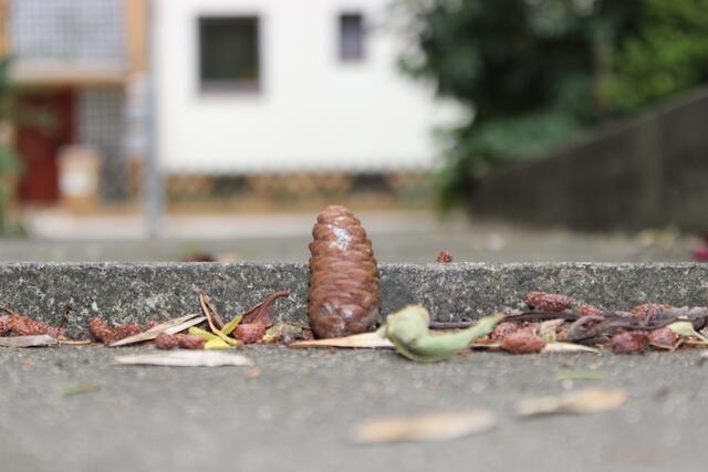 ca 4 bis 5 cm