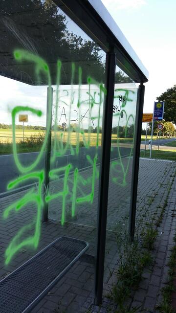 Hinter dem Bushäuschen !
