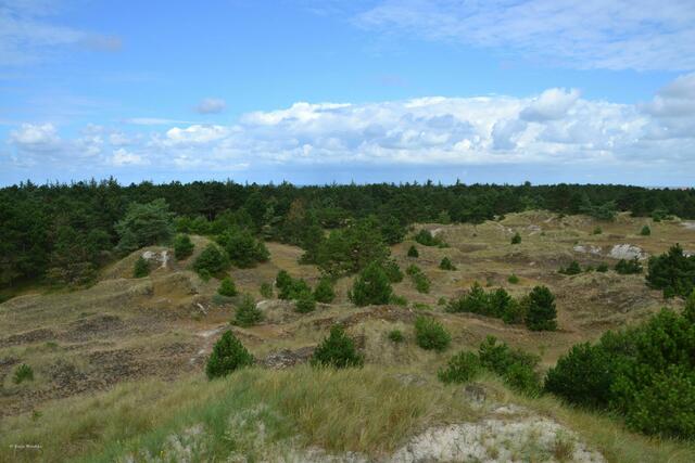 Dünenlandschaft rund um Maleens Knoll in St. Peter-Ording (Foto: Katja Woidtke)