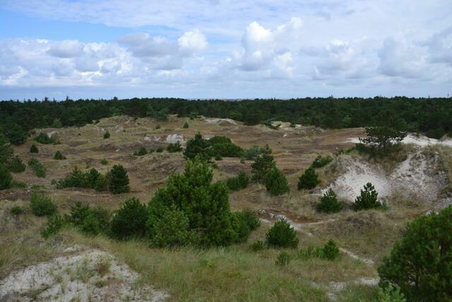 Dünen, Wald und Wolken - Blick vom Aussichtsturm an der Magdalenenspitze in St. Peter-Ording (Foto: Katja Woidtke)