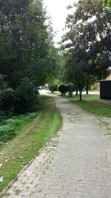...und weiter lassen wir den Eingangsbereich hinter uns. Im gesamten Park haben wir einen gepflasterten Weg.