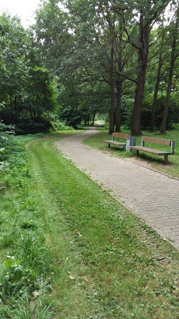 Der Weg hinab von der Anhöhe der ehemaligen Bahnlinie Richtung Celle.