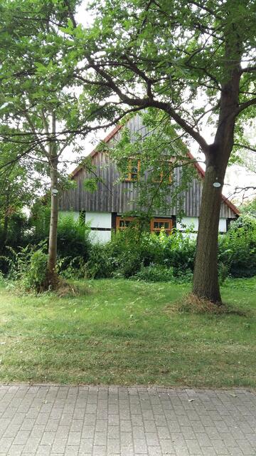Am Rande des Parks steht dieses alte Bauernhaus und eine Reihe neugebauter Häuser. Ein tolles Wohngebiet mit Gartenrichtung Park und Fuhse.